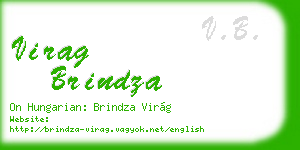 virag brindza business card